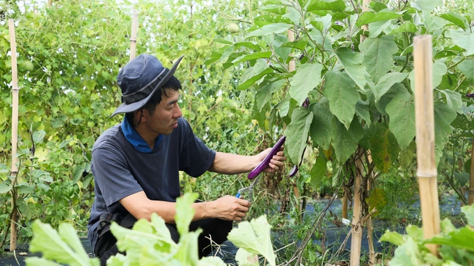 【ベーシックプラン】70年ぶりに復活した醤油を楽しむ養生プラン＜1泊朝食付＞